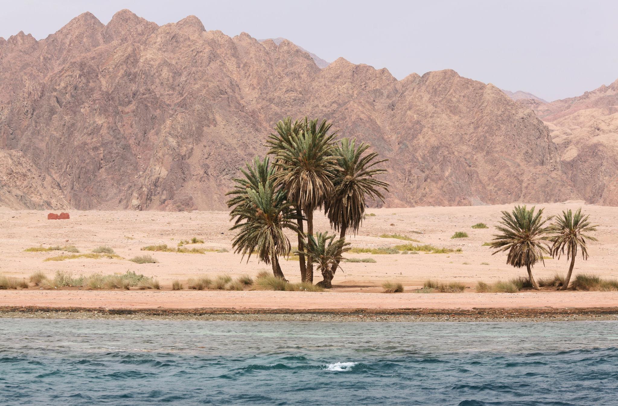 Egy Nile Tours