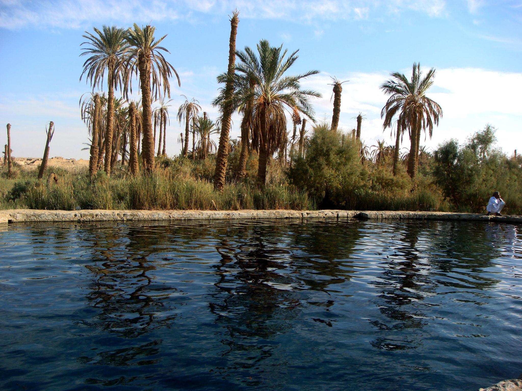 Egy Nile Tours