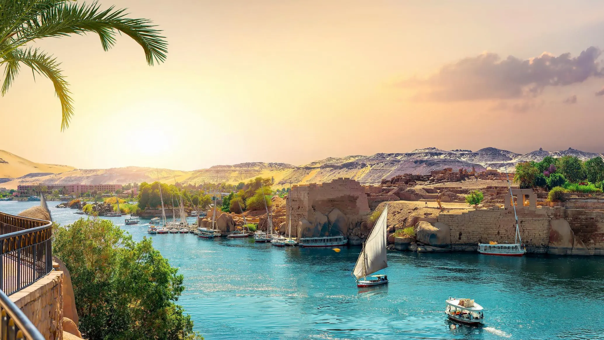Aswan
