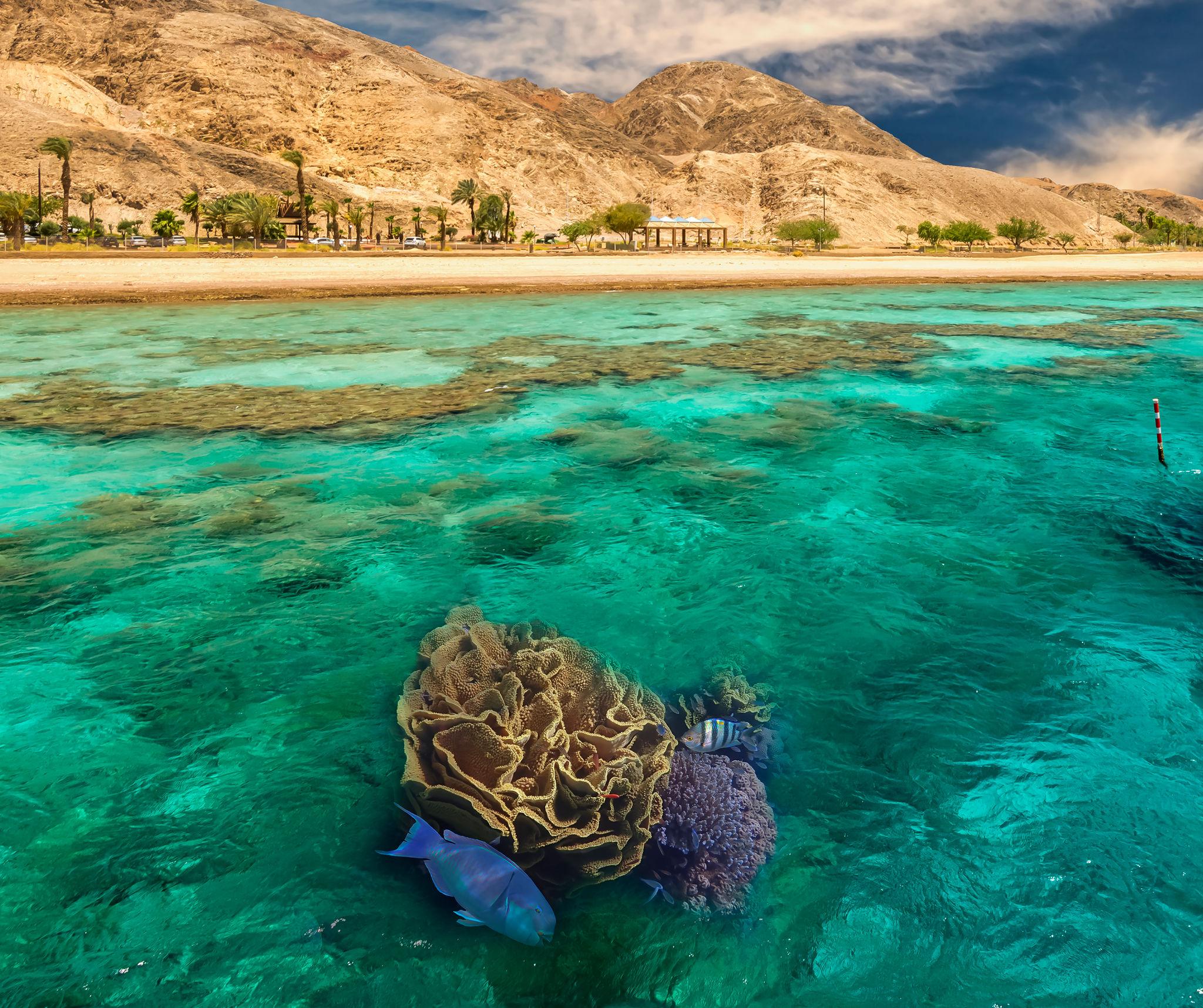 Egy Nile Tours