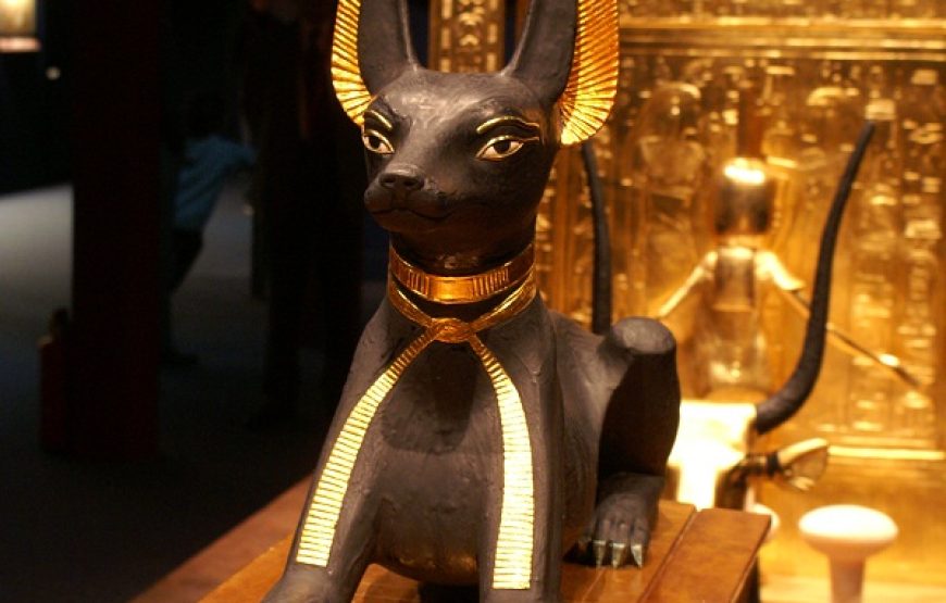 Cairo Visit – 3 Days Tour Program