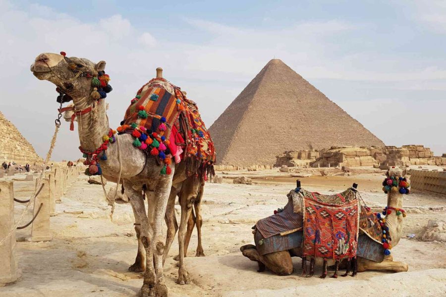 Egypt Highlights Tour – 8 Days Cairo, Alexandria, Luxor & Aswan