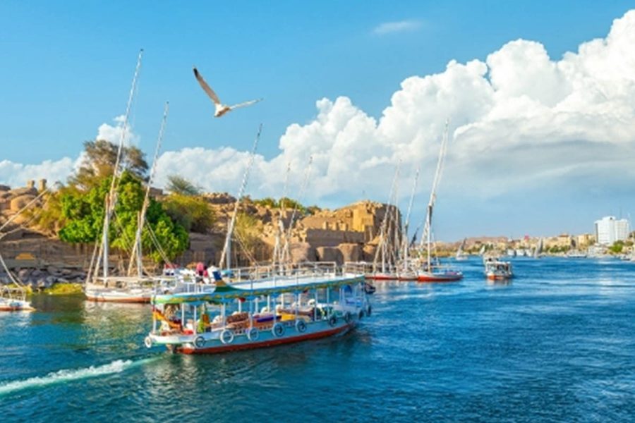 Aswan City Day Tour