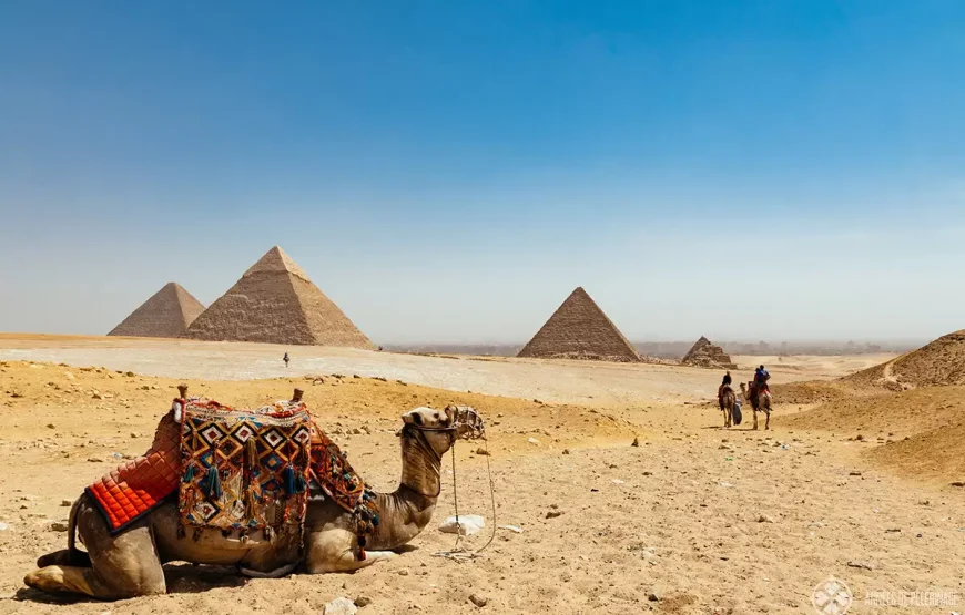 Egypt Highlights Tour – 8 Days Cairo, Alexandria, Luxor & Aswan